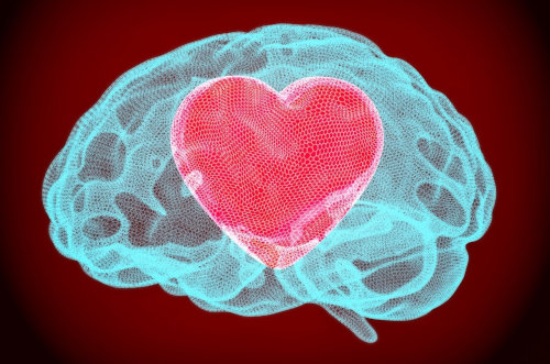 Graphic of a heart inside of a brain - research on trauma